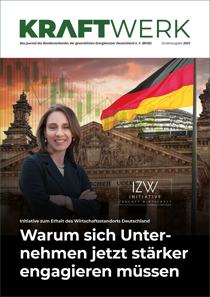 Cover-IZW-kraftwerk
